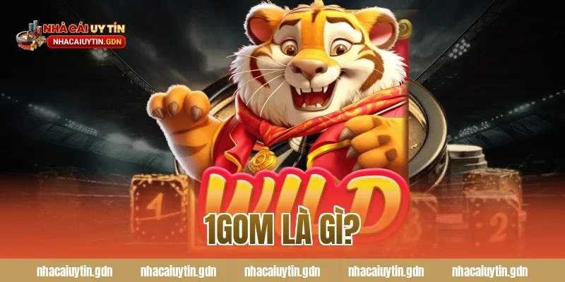 1GOM là gì?