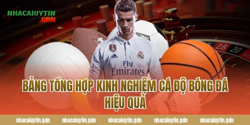 Bảng tổng hợp kinh nghiệm cá độ bóng đá hiệu quả
