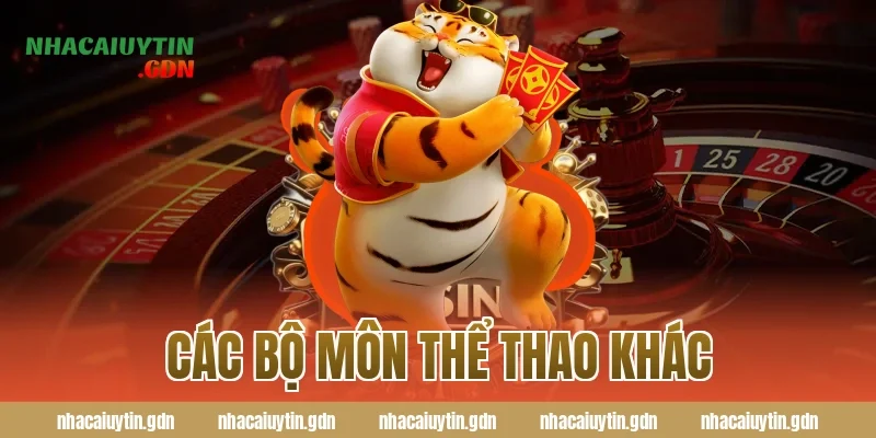 Các bộ môn thể thao khác