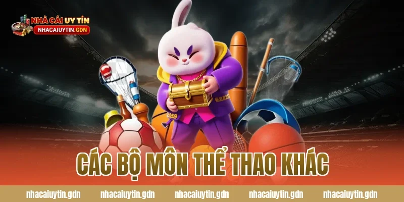 Các bộ môn thể thao khác