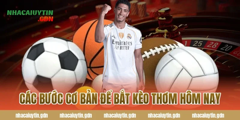 Các bước cơ bản để bắt kèo thơm hôm nay