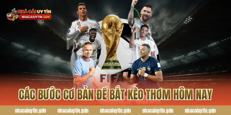 Các bước cơ bản để bắt kèo thơm hôm nay