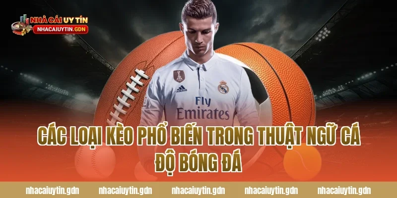 Các loại kèo phổ biến trong thuật ngữ cá độ bóng đá