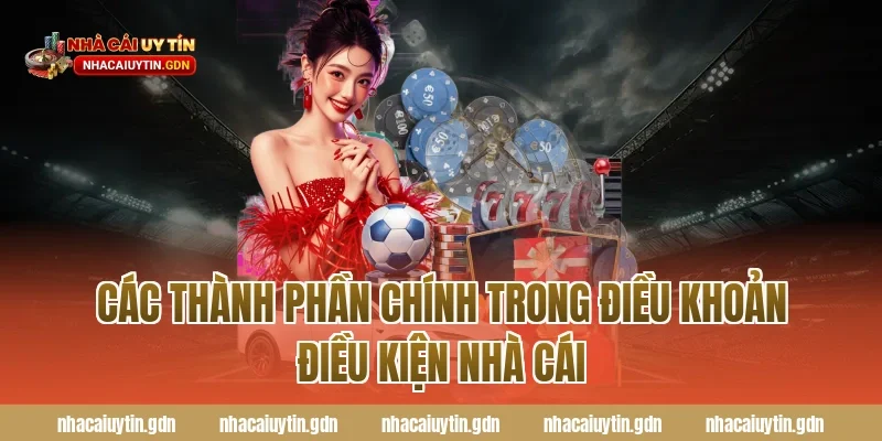 Các thành phần chính trong điều khoản điều kiện nhà cái