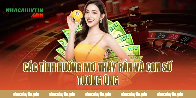 Các Tình Huống Mơ Thấy Rắn và Con Số Tương Ứng