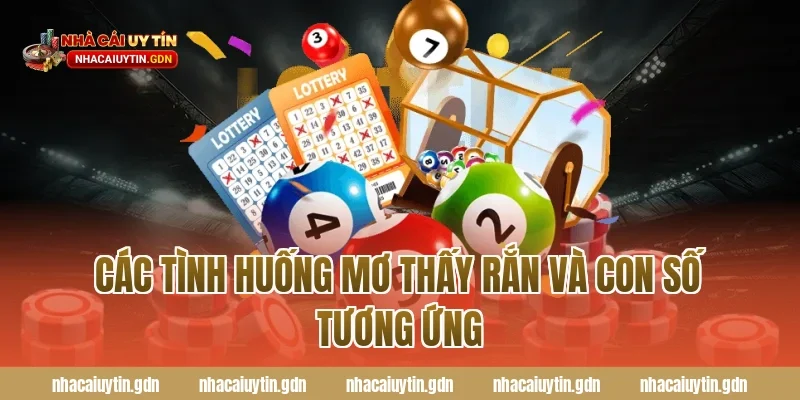 Các Tình Huống Mơ Thấy Rắn và Con Số Tương Ứng
