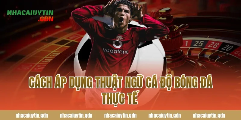 Cách áp dụng thuật ngữ cá độ bóng đá thực tế