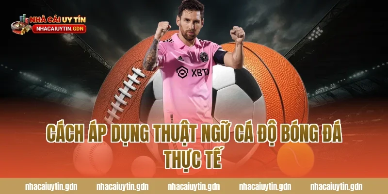 Cách áp dụng thuật ngữ cá độ bóng đá thực tế