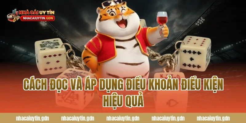 Cách đọc và áp dụng điều khoản điều kiện hiệu quả