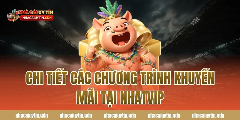 Chi tiết các chương trình khuyến mãi tại Nhatvip