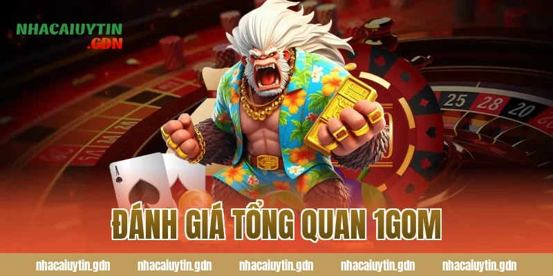 Đánh giá tổng quan 1GOM