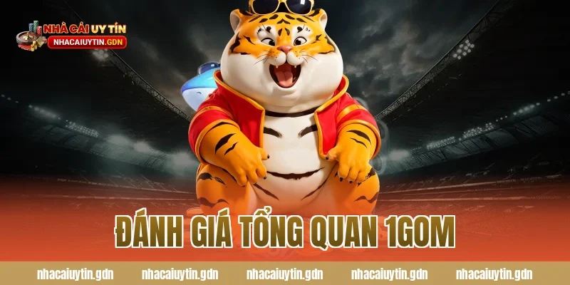 Đánh giá tổng quan 1GOM