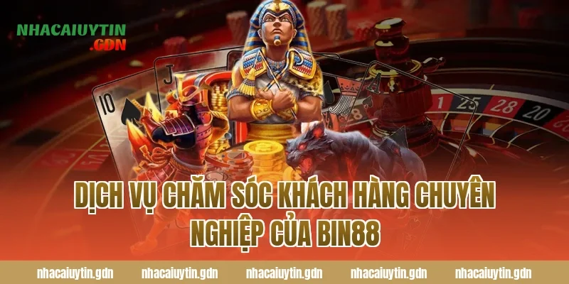 Dịch vụ chăm sóc khách hàng chuyên nghiệp của Bin88