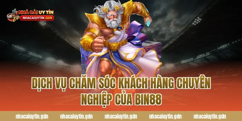 Dịch vụ chăm sóc khách hàng chuyên nghiệp của Bin88