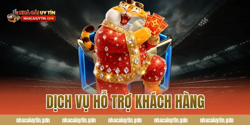 Dịch vụ hỗ trợ khách hàng