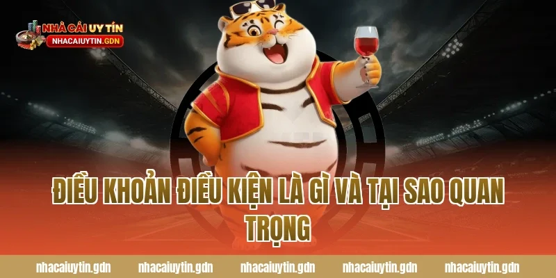 Điều khoản điều kiện là gì và tại sao quan trọng