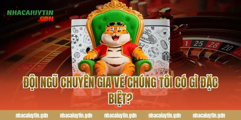 Đội ngũ chuyên gia Về chúng tôi có gì đặc biệt?