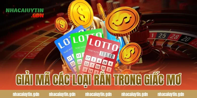 Giải Mã Các Loại Rắn Trong Giấc Mơ