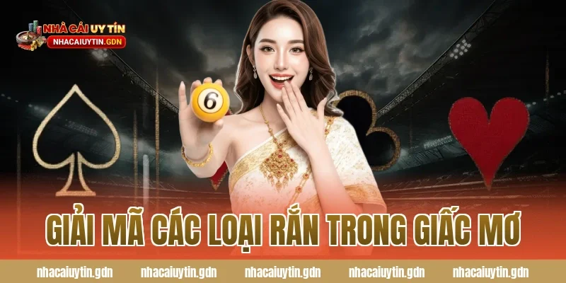 Giải Mã Các Loại Rắn Trong Giấc Mơ