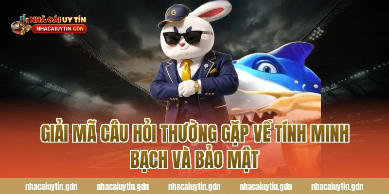 Giải mã Câu hỏi thường gặp về tính minh bạch và bảo mật