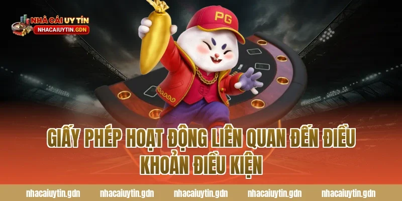 Giấy phép hoạt động liên quan đến điều khoản điều kiện