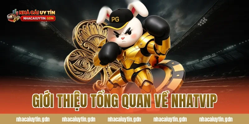 Giới thiệu tổng quan về Nhatvip