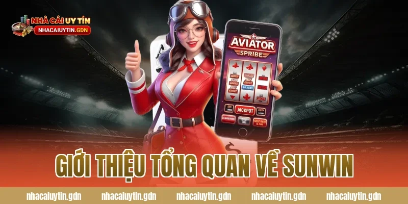 Giới thiệu tổng quan về Sunwin