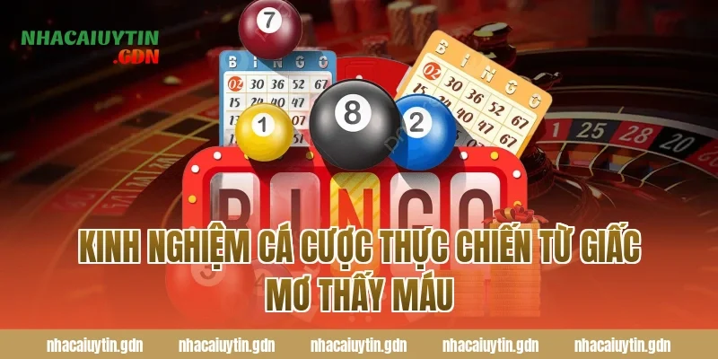 Kinh nghiệm cá cược thực chiến từ giấc mơ thấy máu