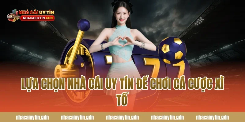 Lựa chọn nhà cái uy tín để chơi cá cược xì tố