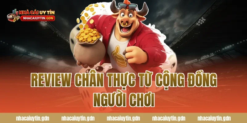 Review chân thực từ cộng đồng người chơi