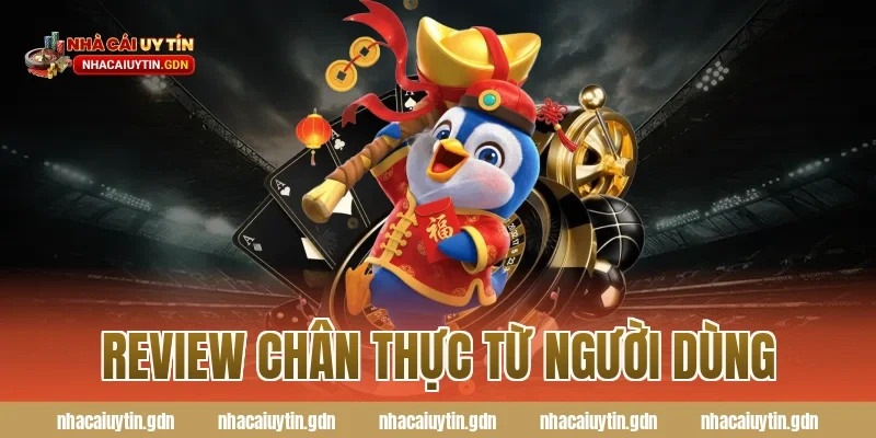 Review chân thực từ người dùng