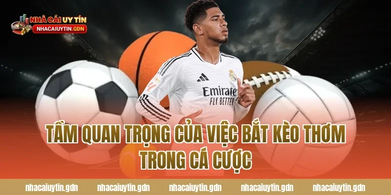 Tầm quan trọng của việc bắt kèo thơm trong cá cược