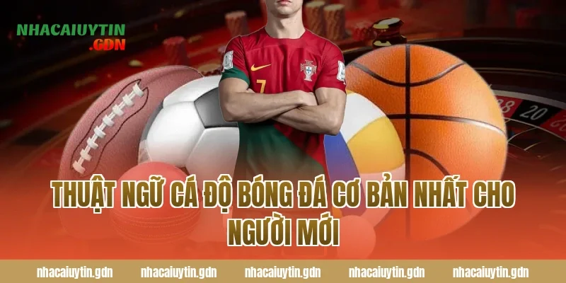 Thuật ngữ cá độ bóng đá cơ bản nhất cho người mới