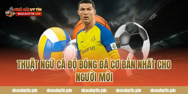 Thuật ngữ cá độ bóng đá cơ bản nhất cho người mới