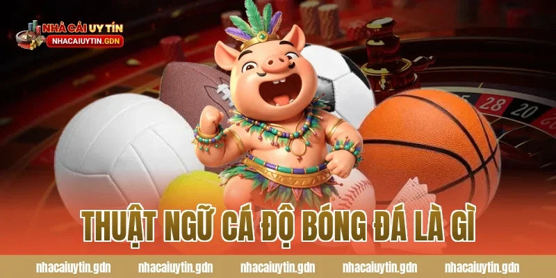 thuật ngữ cá độ bóng đá là gì