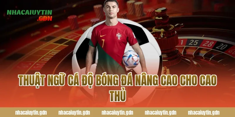 Thuật ngữ cá độ bóng đá nâng cao cho cao thủ