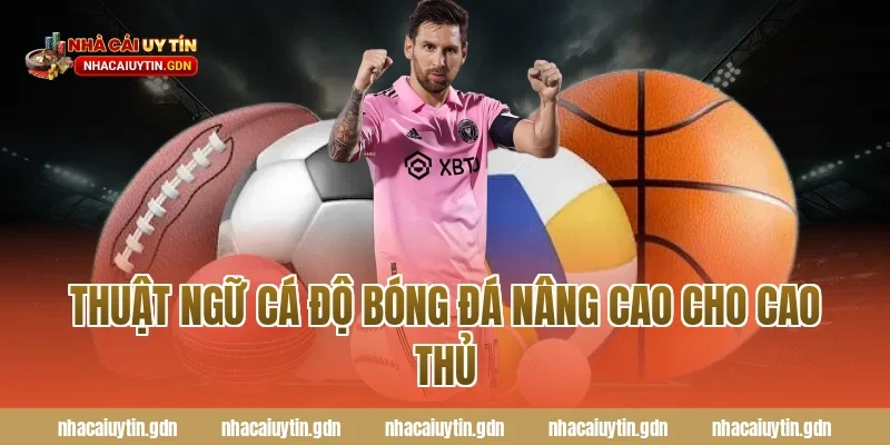 Thuật ngữ cá độ bóng đá nâng cao cho cao thủ