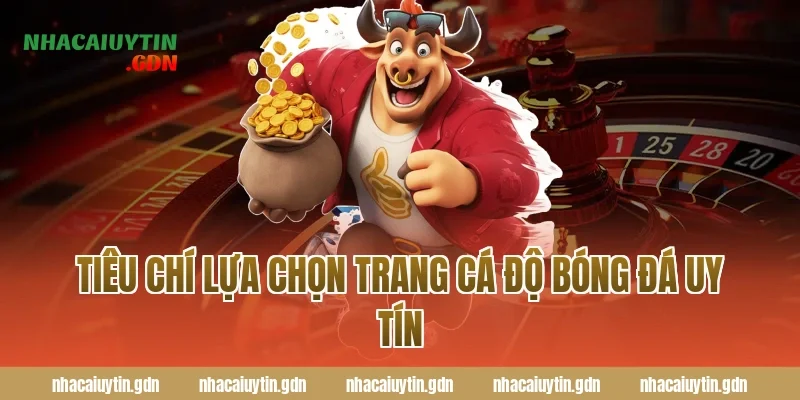 Tiêu chí lựa chọn trang cá độ bóng đá uy tín