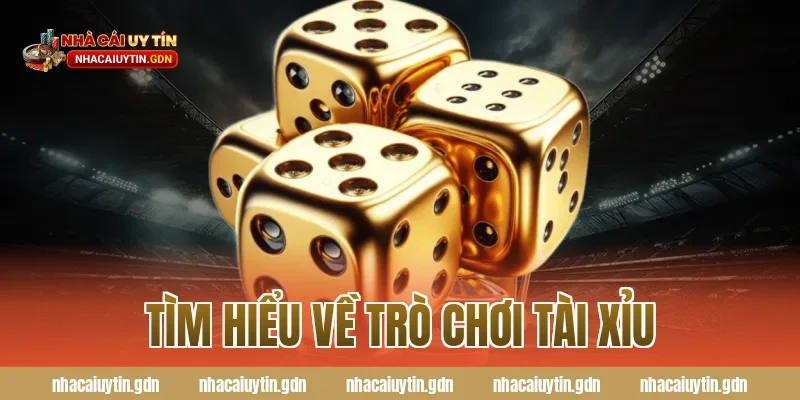 Tìm hiểu về trò chơi tài xỉu