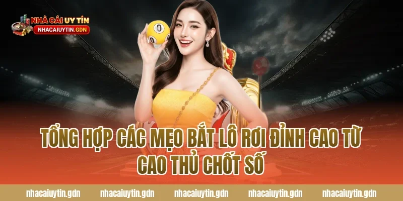 Tổng hợp các mẹo bắt lô rơi đỉnh cao từ cao thủ chốt số