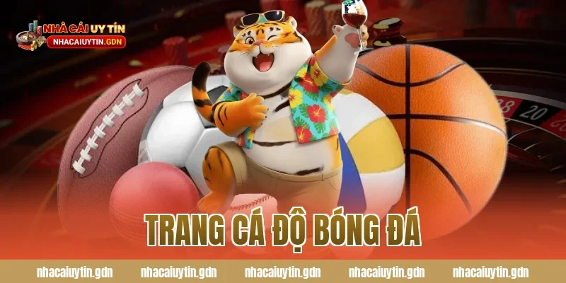 Trang cá độ bóng đá