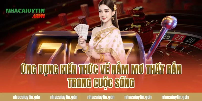 Ứng Dụng Kiến Thức Về Nằm Mơ Thấy Rắn Trong Cuộc Sống