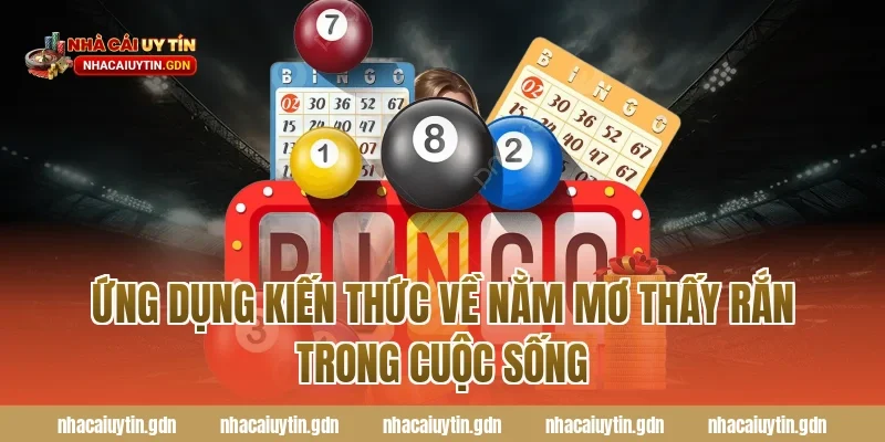 Ứng Dụng Kiến Thức Về Nằm Mơ Thấy Rắn Trong Cuộc Sống